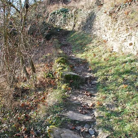 Paradiesisch Wohnen - Loreley * Sankt Goarshausen