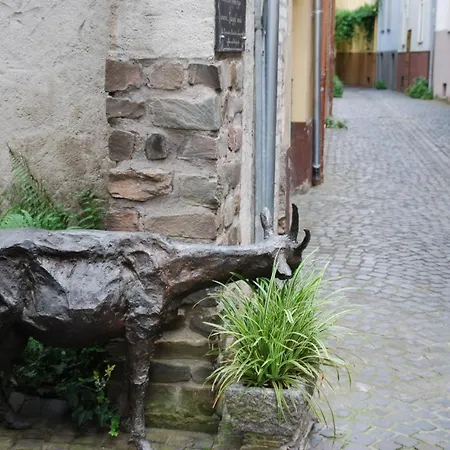 Paradiesisch Wohnen - Loreley * Санкт-Гоарсхаузен