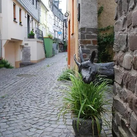 Paradiesisch Wohnen - Loreley Apartament