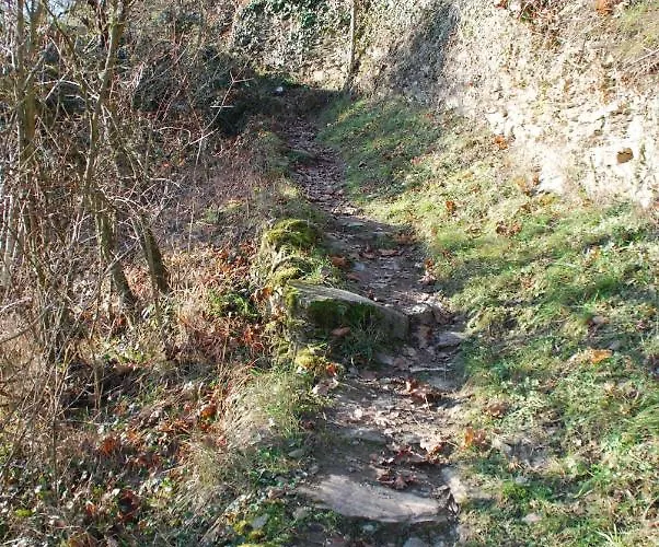 Paradiesisch Wohnen - Loreley * סנט גורסהאוזן