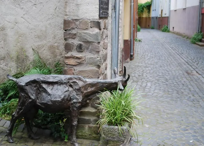 Paradiesisch Wohnen - Loreley * סנט גורסהאוזן