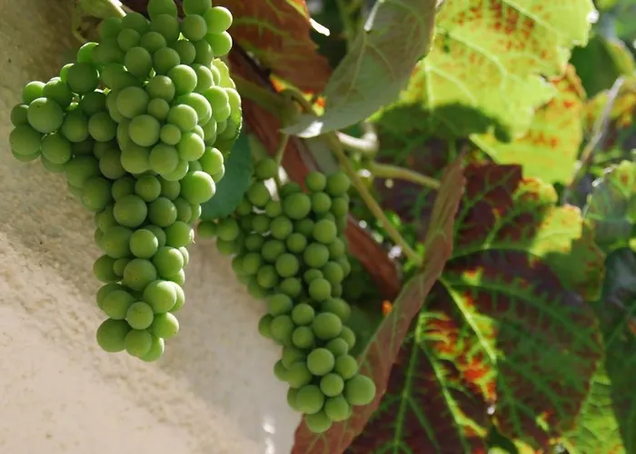 Paradiesisch Wohnen - Loreley 보드만 루트빅스하펜