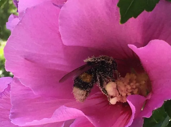 Paradiesisch Wohnen - Loreley 보드만 루트빅스하펜